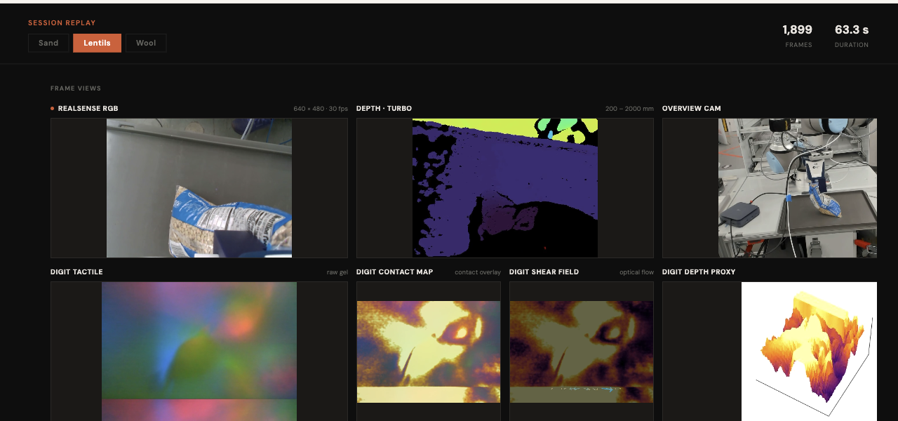 Session replay of a lentils grasp: RealSense RGB, depth, overview camera, and DIGIT tactile views
